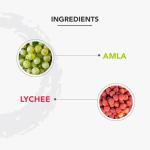 Lotus Professional Whitening & Brightening Day Cream_50g + Night Cream_50g